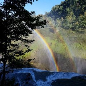 Meet your Posher, Laurie